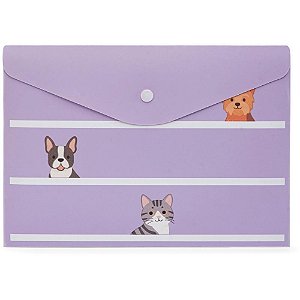 Pasta Envelope A5 HAPPY LAB com Botão Pacote com 05