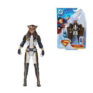 Boneco Mulher Gavião DC Comics Figura Articulada 14cm Sunny Brinquedos