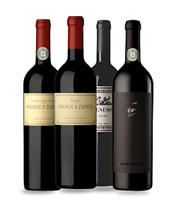 Kit Favoritos Catena