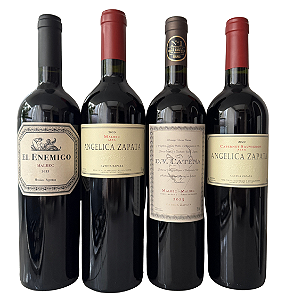 Kit Vinhos Surpreendentes 4un. 750ml