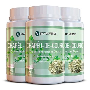 3 Potes Chapéu-de-Couro Kit 360 Cáps - Status Verde