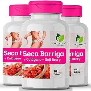 3 Potes Seca Barriga + Colágeno + Goji Berry Kit 360 Cáps - Fonte Verde