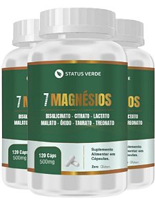 3 Potes 7 Magnésio Kit 360 Caps - Status Verde