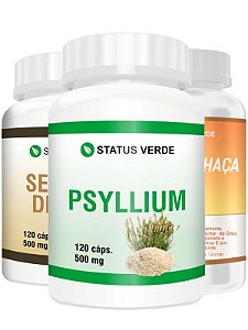 Kit Psyllium + Chia + Linhaça 120 Caps P/Pote Status Verde