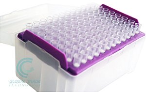 Ponteira 100ul Longa com filtro Estéril Livre Dnase Rnase - 01 Rack c/ 96UN