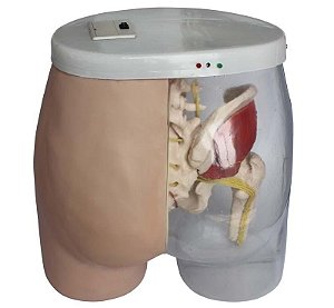 Simulador Modelo de Injeção Intramuscular Eletronico