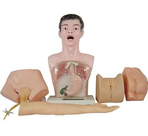 Modelo de Treinamento para Práticas Básicas de Enfermagem