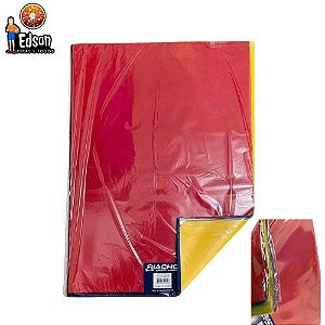 FOLHAS DE SEDA 50X70 SORTIDO RIACHO - 100 UNIDADES