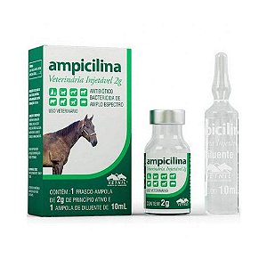 Ampicilina Injetável 2 Gr - Vetnil