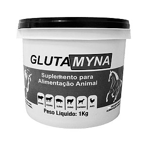 Glutamyna 1 Kg - Univittá