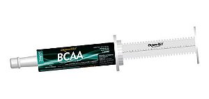 BCAA Super Bisnaga 60 Gr - Organnact
