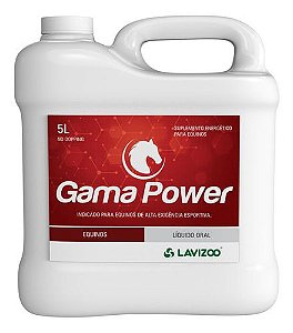 Gama Power 5 Lts - Lavizoo