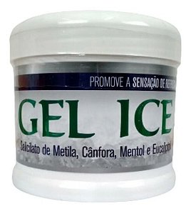 Gel Ice AF 500 Gr - Vita Horse