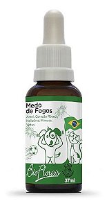 Floral Medo de Fogos 31 mL - Bio Florais