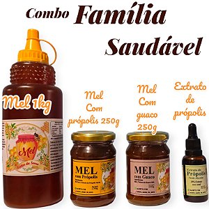 COMBO FAMÍLIA SAUDÁVEL um mel 1kg+um mel com própolis 250g +um mel com guaco 250g+um extrato de propolis 30ml