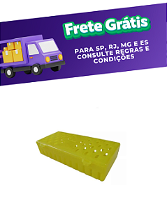 Estojo plástico esterilização autoclavável grande - Nova Ogp