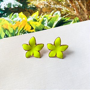 Brinco flor 5 pétalas resinada