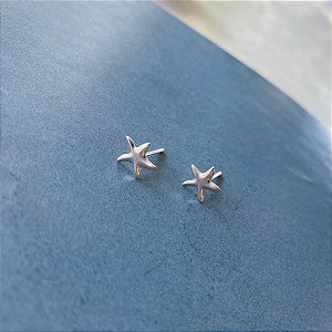 Brinco estrelinha lisa