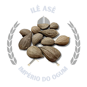 FAVA DE EXU