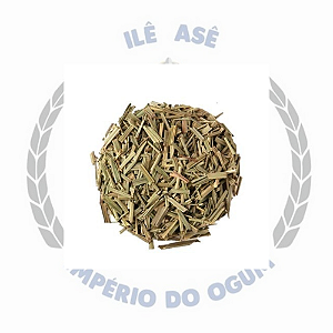 ERVA SECA - ERVA CIDREIRA