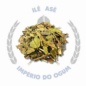 ERVA SECA - CANELA DE VELHO