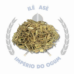 ERVA SECA - CARQUEJA