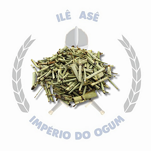 ERVA SECA - CAVALINHA