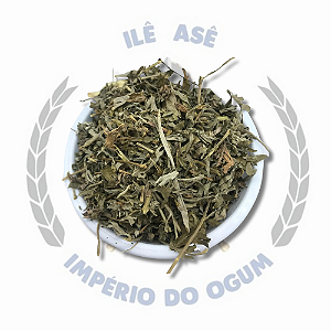 ERVA SECA - LOSNA