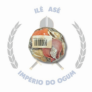 CESTA DE CONCHAS - MINI