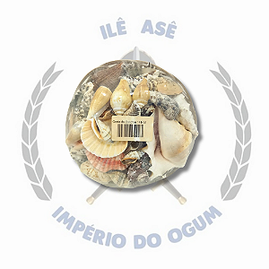 CESTA DE CONCHAS - M