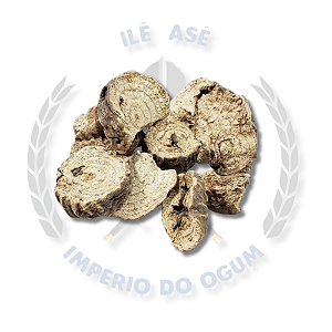 ERVAS SECAS- BATATA DE PURGA