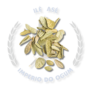 ERVAS SECAS - BOLDO DO CHILE