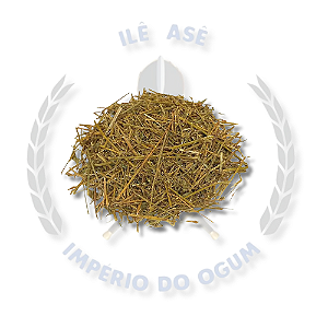 ERVAS SECAS - ALFAFA