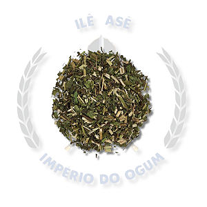 ERVAS SECAS - ARNICA DO MATO