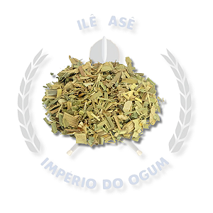 ERVAS SECAS - CAPIM CIDREIRA