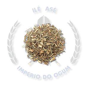 ERVAS SECAS - CITRONELA
