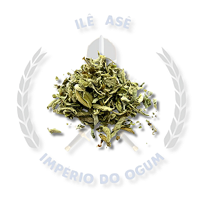ERVAS -  SALVIA