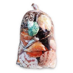 Kit Mix de Conchas Espirituais Conexão Divina