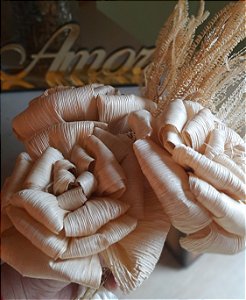 Flor de palha da Costa grande