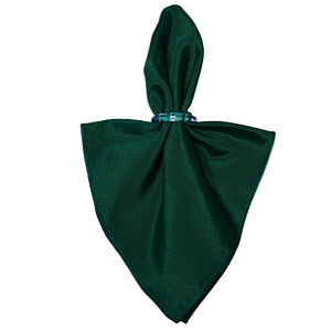 Guardanapos em Tecido Liso 40 x 40 para Mesa Posta Verde