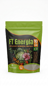 FT Energia + micros