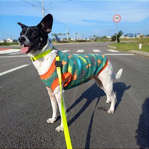 Agasalho de Soft Dinos Sem Capuz