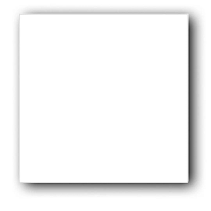 Porcelanato Bianco AC 81x81 CX1,98MtT2