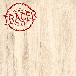 Porcelanato Ecotech Marfim AC 61X61 CX2,23MT2 - Cerâmica Almeida