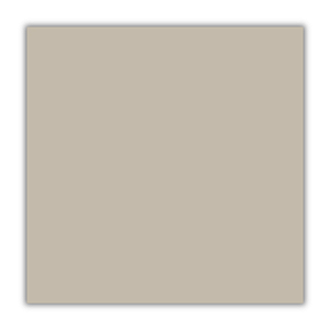 Porcelanato Avorio RET POL A 62X62 CX2,66M2 - Delta