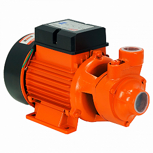 Bomba Periférica BP1000 Intech Machine