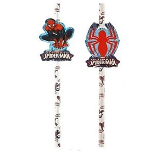 CANUDO DE PAPEL COM ENFEITE FESTA HOMEM ARANHA - 08 UNIDADES - REGINA