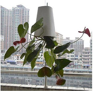 Sky Planter - O Vaso Invertido