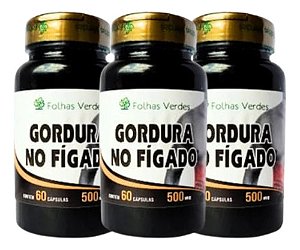 01 POTE Suplemento GORDURA no FIGADO 60 cápsulas