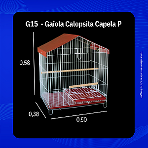 Linha Calopsita 03